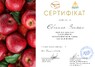 ОНЛАЙН-ПРАКТИКУМ "СТОП АНЕМІЯ. ЯК ПІДТРИМУВАТИ ЗАЛІЗО В НОРМІ"